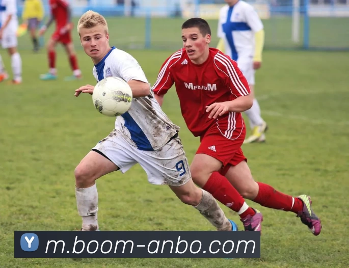 App Interface Preview