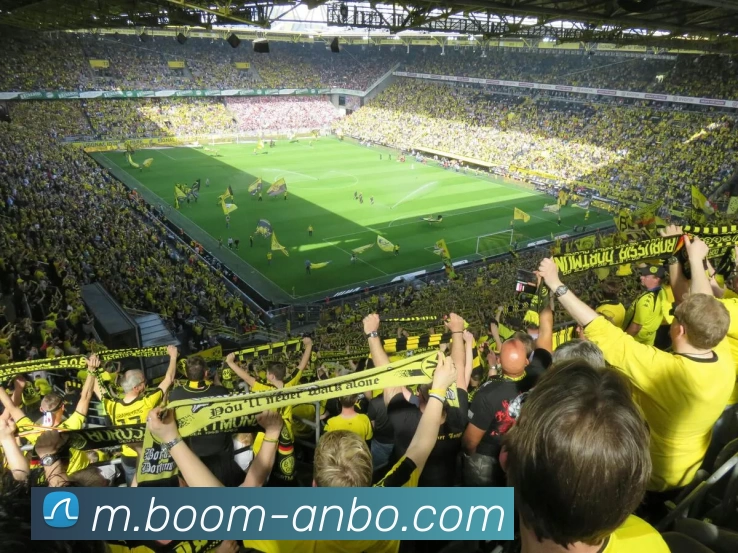 安博体育APP 封面图